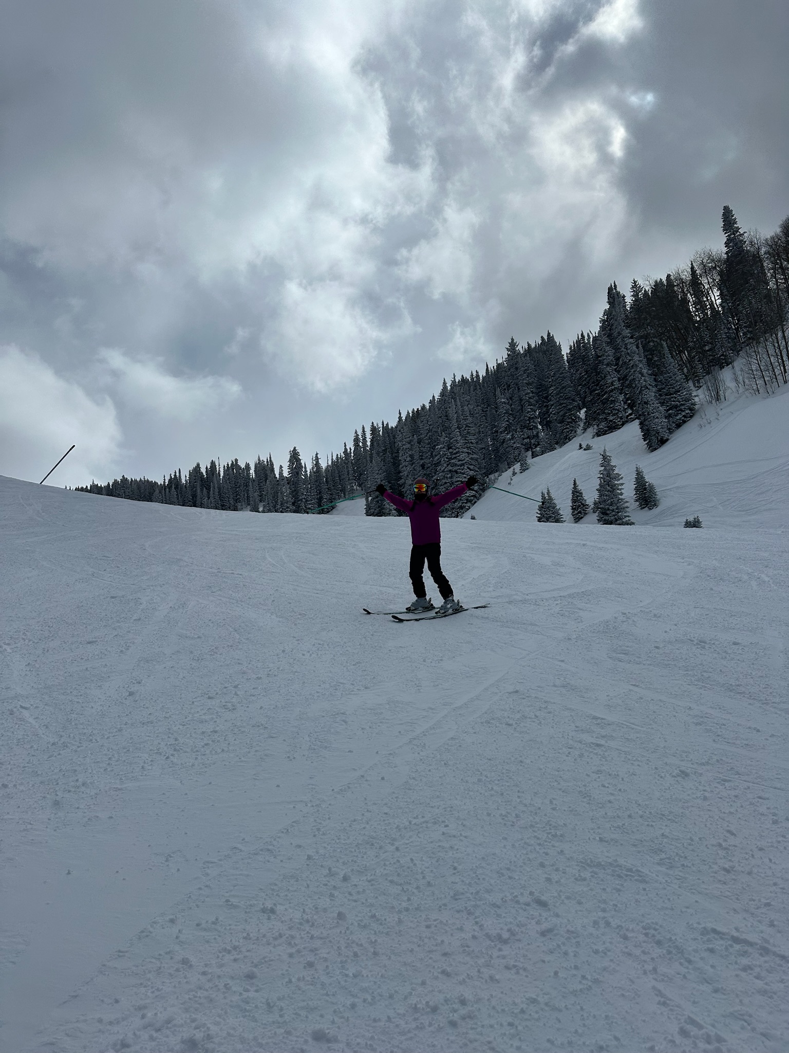 Aspen